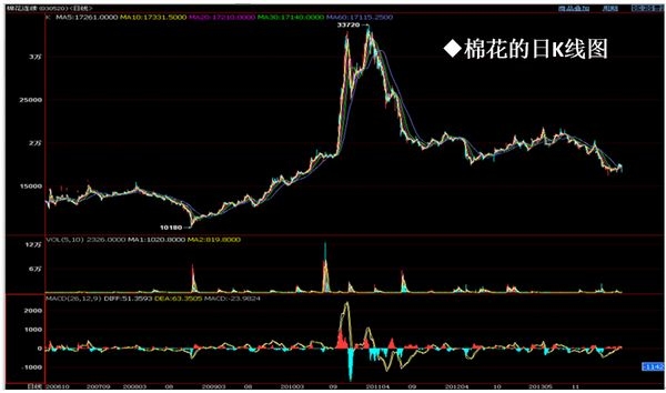 nEO_IMG_德亞報告會0831-6.jpg